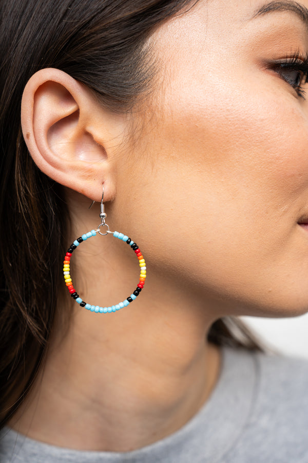 Native American Medicine Wheel Earrings