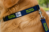 Our Rescue Dog Collar or Leash