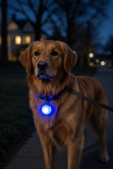 LED Dog Collar Clip Light