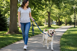 Our Rescue Dog Collar or Leash