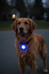 LED Dog Collar Clip Light