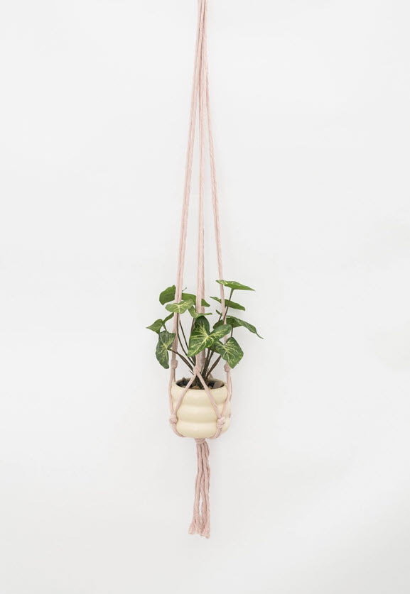 Flourish Plant Hanger