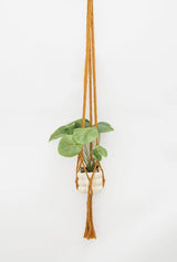 Flourish Plant Hanger