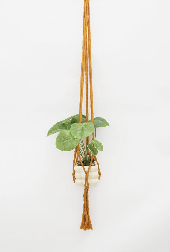 Flourish Plant Hanger