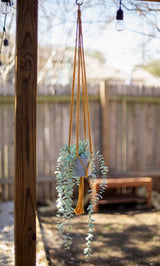 Flourish Plant Hanger