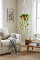 The Dignity Plant Hanger