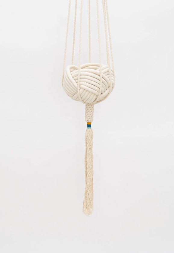 The Dignity Plant Hanger