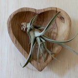 Olive Wood Heart Dish