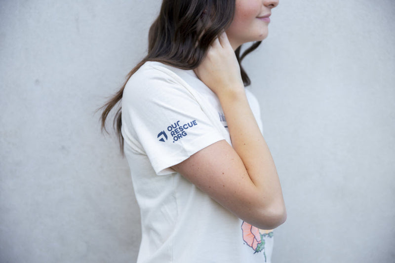 Ladies Hiding in Plain Sight Tee