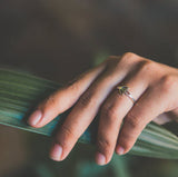 Olive Branch Ring