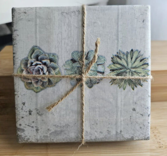 Survivor Made Coasters