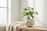 Unbound Planter