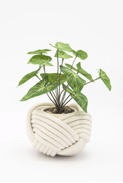 Unbound Planter