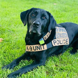 Detective Spike Book