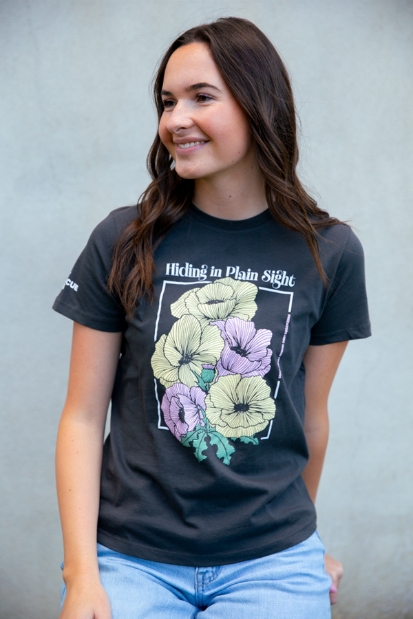 Ladies Hiding in Plain Sight Tee