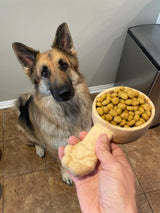 Hand-Carved Wooden Pawprint Scoop